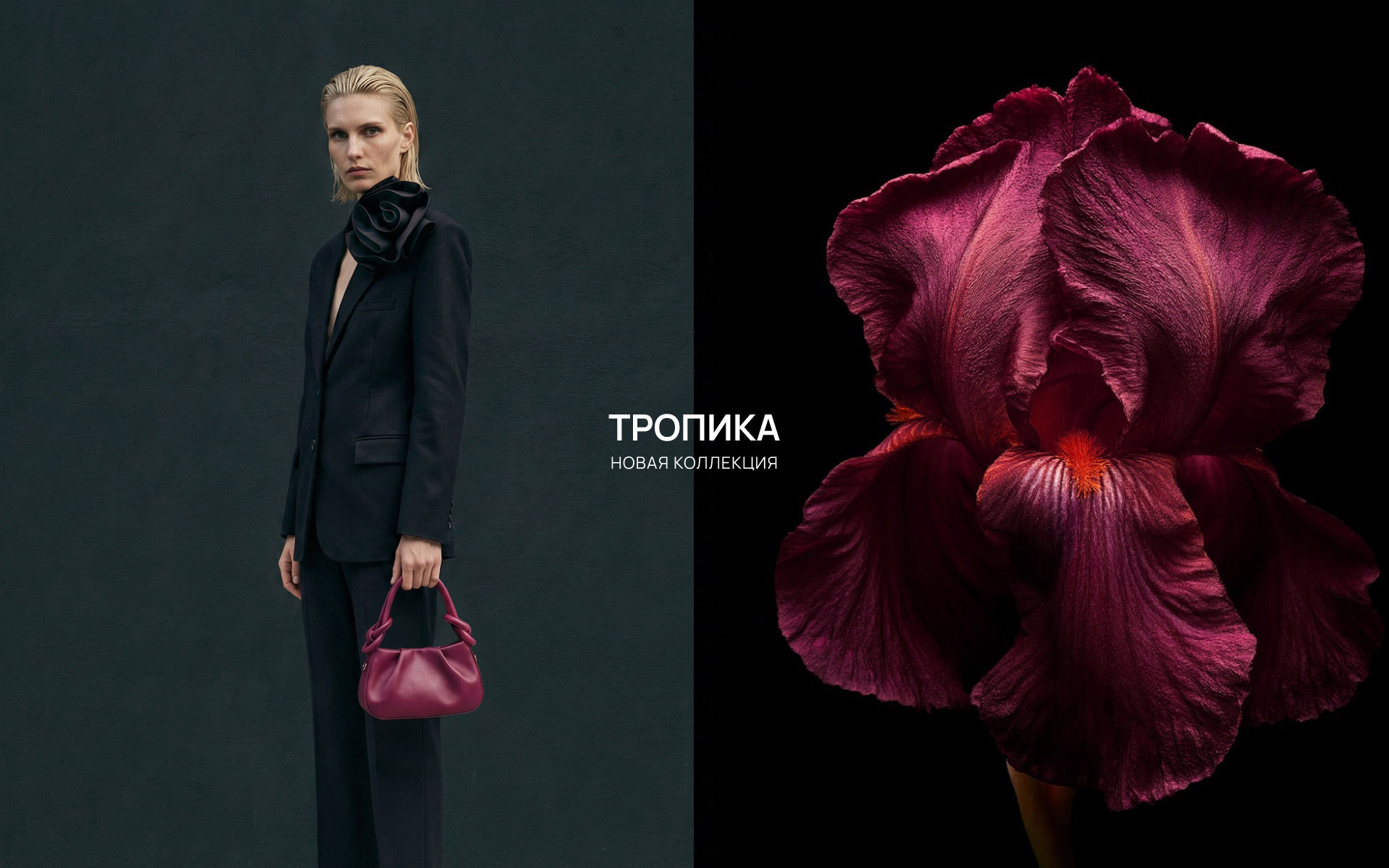 Тропика 2026